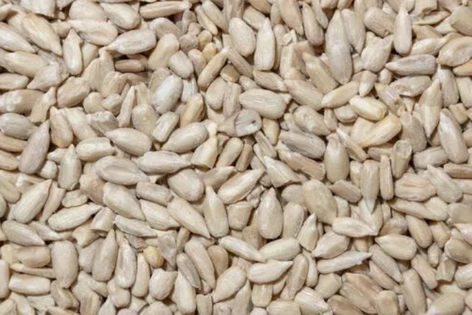 Sunflower Seeds